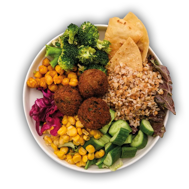 Minik Gurmenin Protein Topları